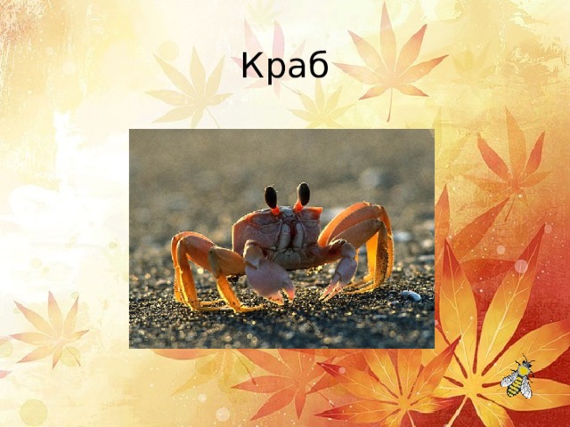 Краб 