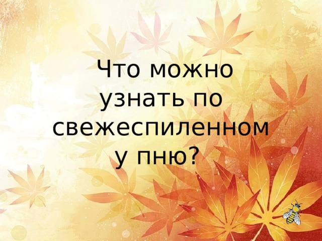   Что можно узнать по свежеспиленному пню? 