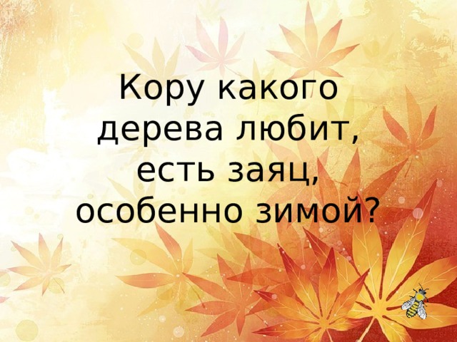  Кору какого дерева любит, есть заяц, особенно зимой? 