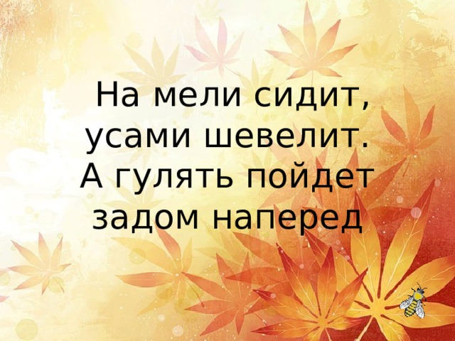   На мели сидит, усами шевелит. А гулять пойдет задом наперед 