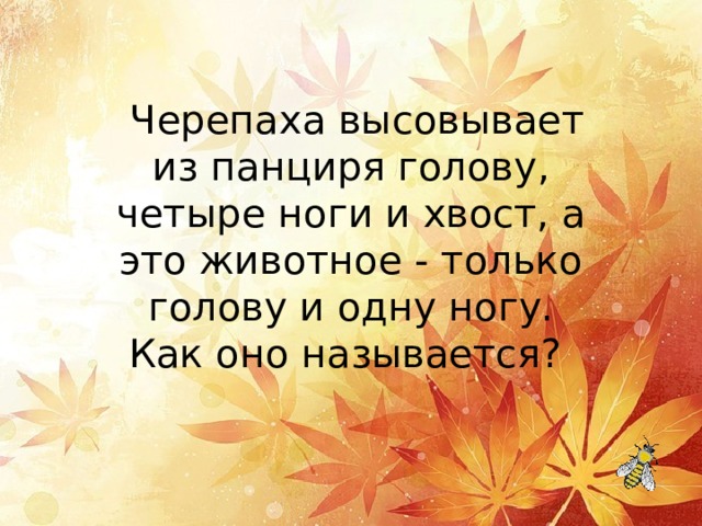   Черепаха высовывает из панциря голову, четыре ноги и хвост, а это животное - только голову и одну ногу. Как оно называется? 