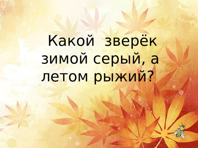   Какой зверёк зимой серый, а летом рыжий? 