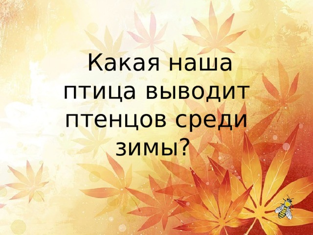   Какая наша птица выводит птенцов среди зимы? 