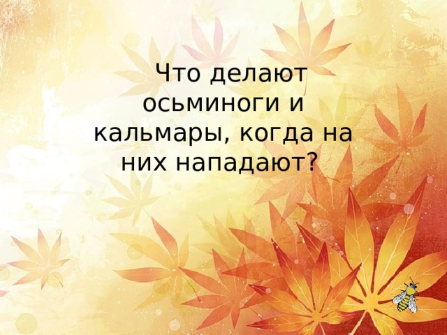   Что делают осьминоги и кальмары, когда на них нападают? 