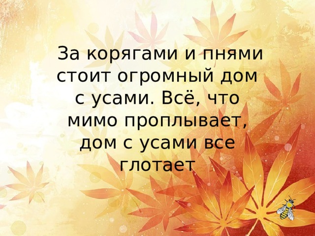   За корягами и пнями стоит огромный дом с усами. Всё, что мимо проплывает, дом с усами все глотает 