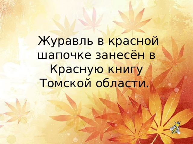   Журавль в красной шапочке занесён в Красную книгу Томской области. 