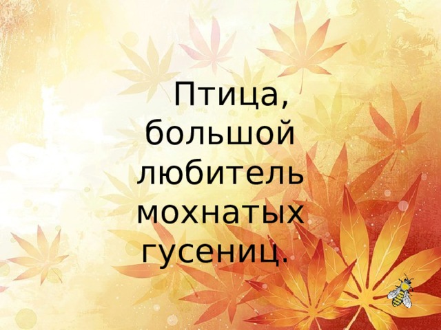    Птица, большой любитель мохнатых гусениц. 