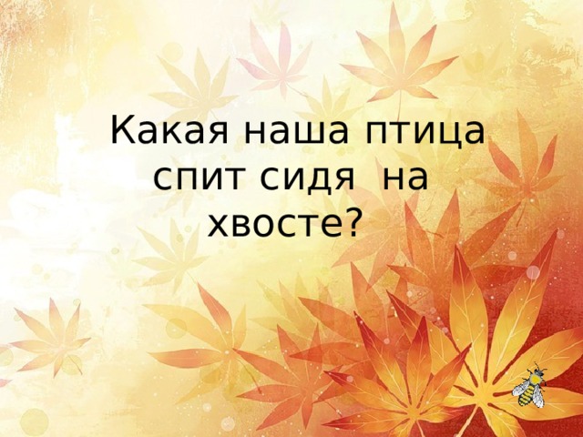   Какая наша птица спит сидя на хвосте? 