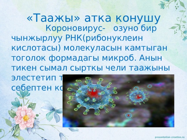 «Таажы» атка конушу  Короновирус- озуно бир чынжырлуу РНК(рибонуклеин кислотасы) молекуласын камтыган тоголок формадагы микроб. Анын тикен сымал сырткы чели таажыны элестетип турат. Илдет ошол себептен короновирус деп аталат. 