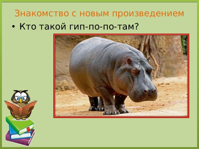 Знакомство с новым произведением Кто такой гип-по-по-там? 