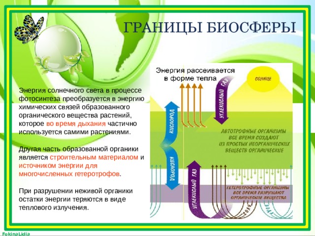 Преобразование химической энергии в световую