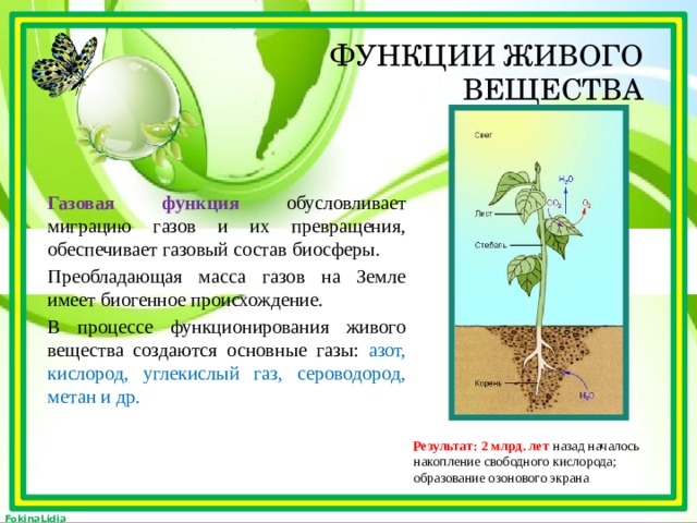 5 функции живого вещества биосферы. Функции живого вещества. Функции живого вещества в биосфере. Функции живого в биосфере. Транспортная функция живого вещества в биосфере.