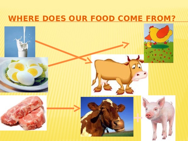 Where does our food come from? + 