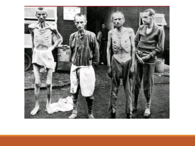 Выжившие узники концлагеря Ораниенбург. 