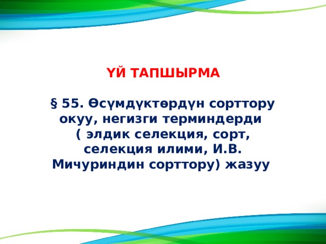 ΥЙ ТАПШЫРМА  § 55. ϴсүмдүктɵрдүн сорттору окуу, негизги терминдерди ( элдик селекция, сорт, селекция илими, И.В. Мичуриндин сорттору) жазуу 