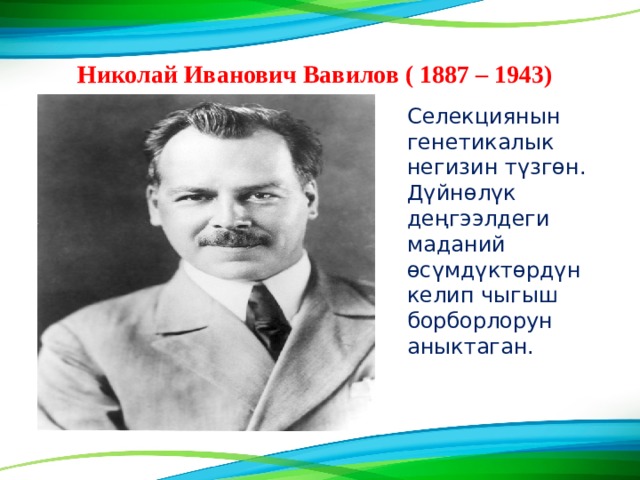 Николай Иванович Вавилов ( 1887 – 1943) Селекциянын генетикалык негизин түзгɵн. Дүйнөлүк деңгээлдеги маданий ɵсүмдүктɵрдүн келип чыгыш борборлорун аныктаган. 