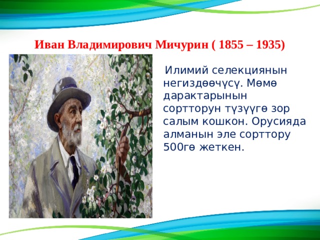 Иван Владимирович Мичурин ( 1855 – 1935)  Илимий селекциянын негизд өɵ ч ү с ү . М ɵ м ө дарактарынын сортторун т ү з үү г ɵ зор салым кошкон. Орусияда алманын эле сорттору 500гө жеткен. 