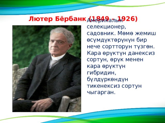   Лютер Бёрбанк (1849 – 1926) Америкалык селекционер, садовник. М ө м ө жемиш ө с ү мд ү кт ө р ү н ү н бир нече сортторун т ү зг ө н. Кара ө р ү кт ү н данексиз сортун, ө р ү к менен кара ө р ү кт ү н гибридин, б ү лд ү рк ө нд ү н тикенексиз сортун чыгарган. 