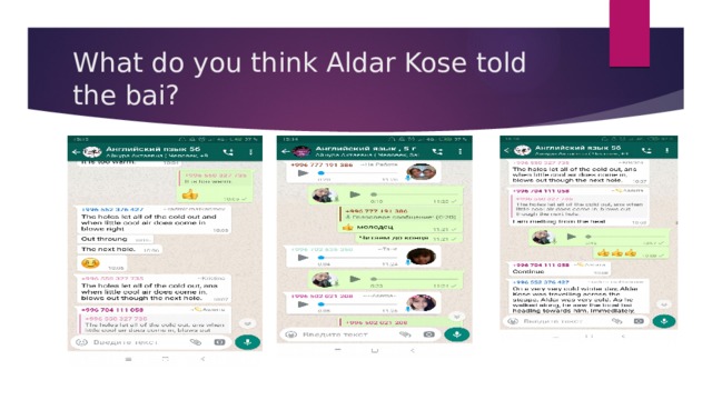 What do you think Aldar Kose told the bai? 