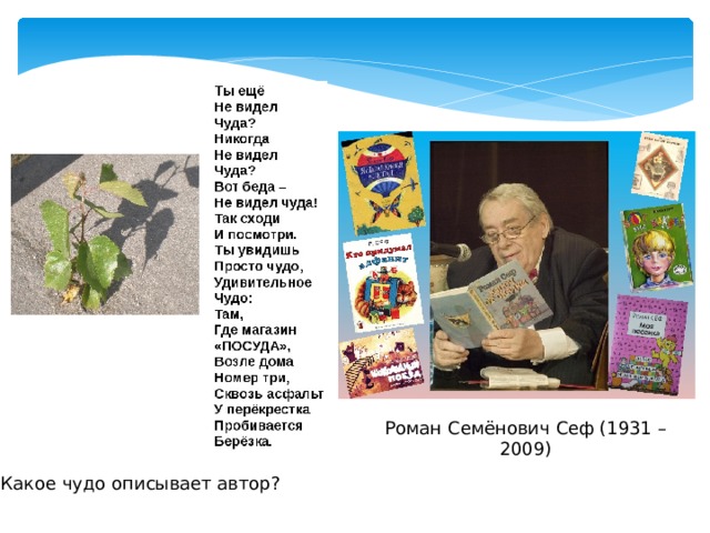 Роман Семёнович Сеф (1931 – 2009) Какое чудо описывает автор? 