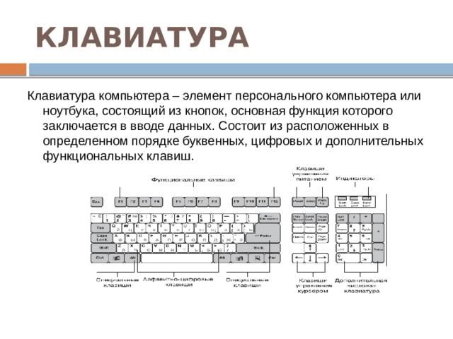 Реферат клавиатура как основной элемент компьютера