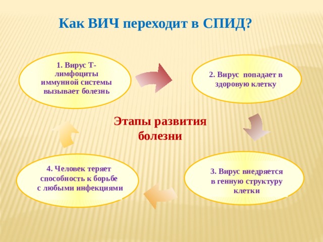 Как ВИЧ переходит в СПИД?   1. Вирус Т-лимфоциты иммунной системы вызывает болезнь 2. Вирус попадает в здоровую клетку  Этапы развития болезни   4. Человек теряет способность к борьбе с любыми инфекциями   3. Вирус внедряется в генную структуру клетки 