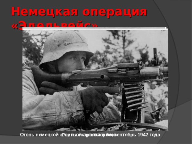 Немецкая операция «Эдельвейс» Огонь немецкой зенитной артиллерии, сентябрь 1942 года Горные стрелки в бою  