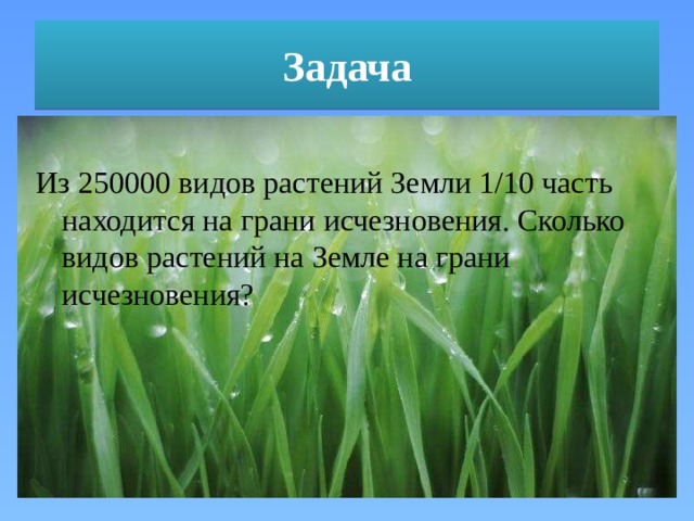 Растение сколько букв. Количество видов растений на земле. Сколько всего растений на земле. Цветок на земле разделить на части 3 класс. Сколько цветов на земле.