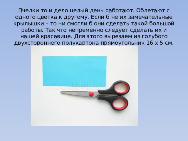 Пчелки то и дело целый день работают. Облетают с одного цветка к другому. Если б не их замечательные крылышки – то ни смогли б они сделать такой большой работы. Так что непременно следует сделать их и нашей красавице. Для этого вырезаем из голубого двухстороннего полукартона прямоугольник 16 х 5 см. 