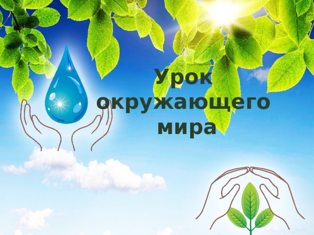 Урок окружающего  мира 