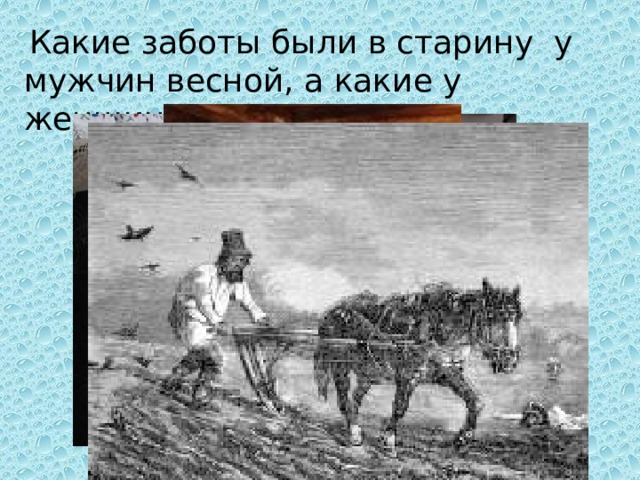  Какие заботы были в старину у мужчин весной, а какие у женщин? 