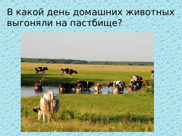 В какой день домашних животных выгоняли на пастбище? 
