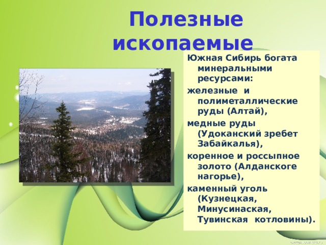 Крупные города гор южной сибири. Горы Южной Сибири растения. Презентация горы Южной Сибири Алтай. Достопримечательности Южной Сибири. Ресурсы Южной Сибири.