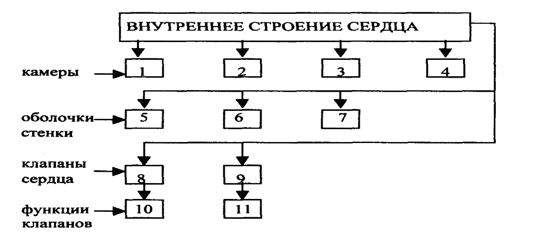 Логико дидактическая схема некроз