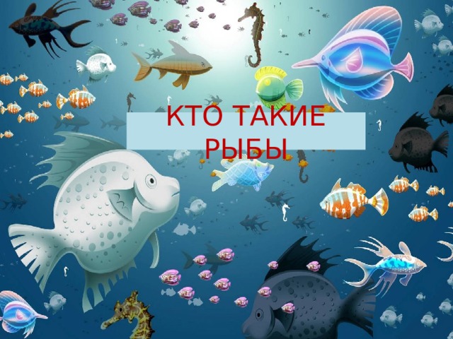 КТО ТАКИЕ РЫБЫ 