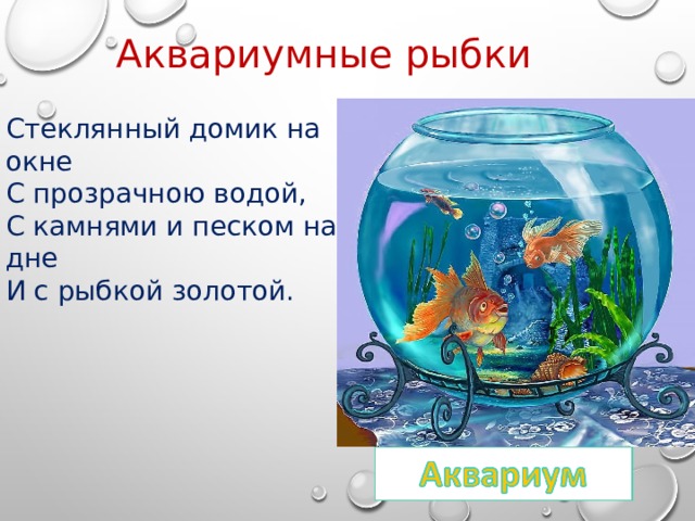 Аквариумные рыбки Стеклянный домик на окне С прозрачною водой, С камнями и песком на дне И с рыбкой золотой. 