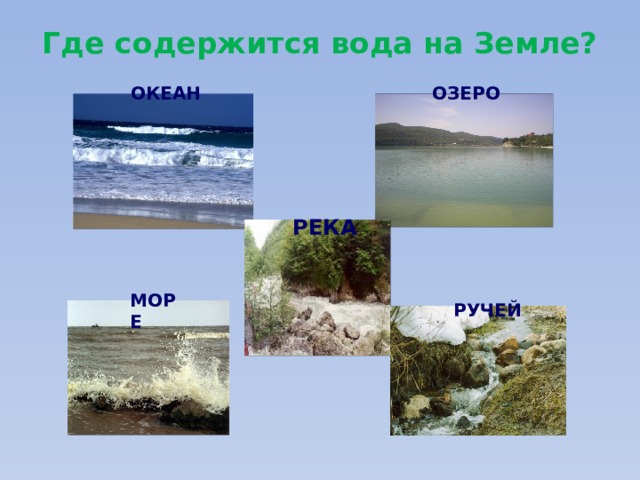 Где содержится вода на Земле?   ОКЕАН ОЗЕРО РЕКА МОРЕ РУЧЕЙ 