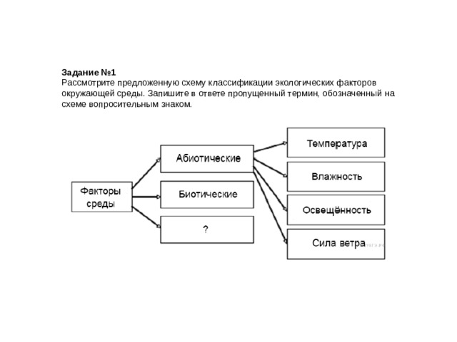 Запишите факторы. Рассмотрите предложенную схему классификации факторов. Рассмотрите предложенную схему экологических факторов. Классификация сред схема. Записать схему классификации экологических факторов..