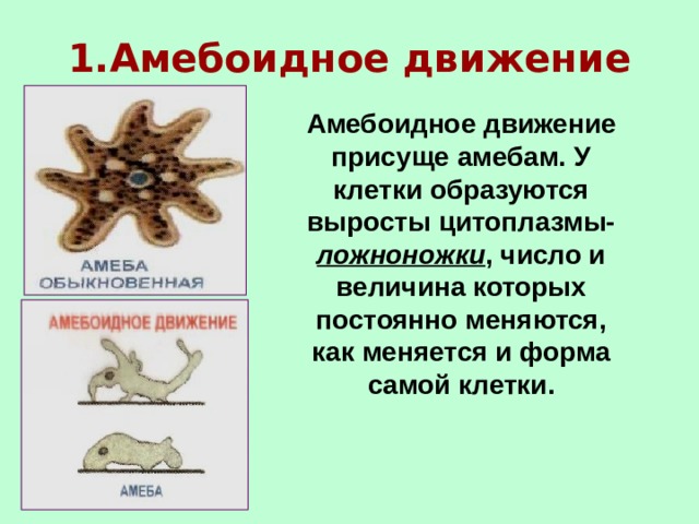 Презентация движение организмов