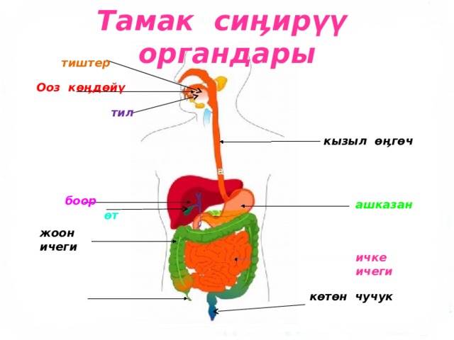 Тамак конкурс детского рисунка - 89 фото