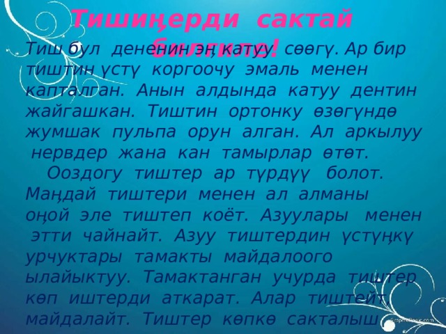 Тишиӊерди сактай билгиле! Тиш бул дененин эӊ катуу сөөгү. Ар бир тиштин үстү коргоочу эмаль менен капталган. Анын алдында катуу дентин жайгашкан. Тиштин ортонку өзөгүндө жумшак пульпа орун алган. Ал аркылуу нервдер жана кан тамырлар өтөт.  Ооздогу тиштер ар түрдүү болот. Маӊдай тиштери менен ал алманы оӊой эле тиштеп коëт. Азуулары менен этти чайнайт. Азуу тиштердин үстүӊкү урчуктары тамакты майдалоого ылайыктуу. Тамактанган учурда тиштер көп иштерди аткарат. Алар тиштейт, майдалайт. Тиштер көпкө сакталыш үчүн аларды коргоо зарыл. 