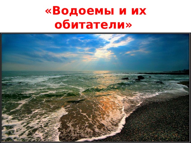 «Водоемы и их обитатели» 