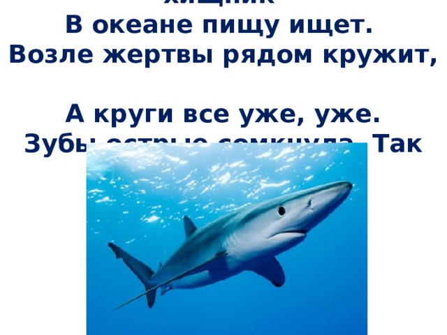 Этот страшный белый хищник  В океане пищу ищет.  Возле жертвы рядом кружит,  А круги все уже, уже.  Зубы острые сомкнула. Так охотится …    