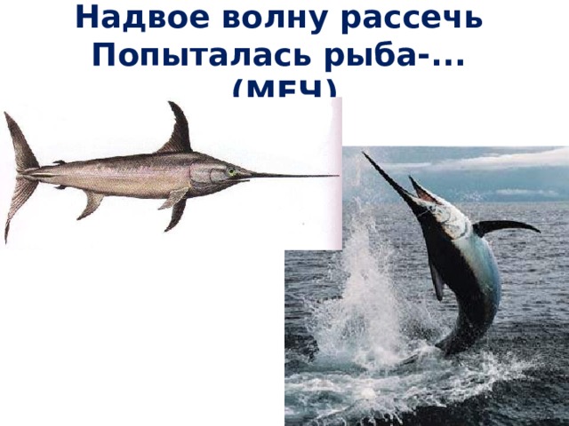 Надвое волну рассечь  Попыталась рыба-... (МЕЧ) 