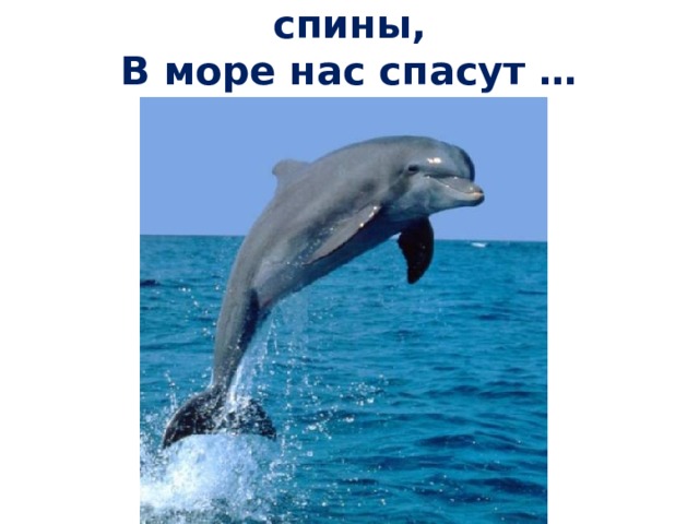 Подставляют людям спины,  В море нас спасут … (ДЕЛЬФИНЫ) 