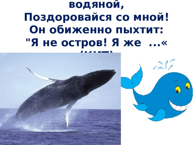 Остров с пальмой водяной,  Поздоровайся со мной!  Он обиженно пыхтит:  