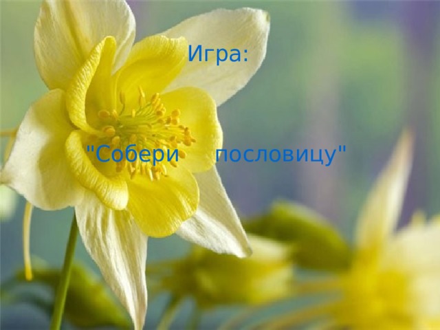 Игра: 