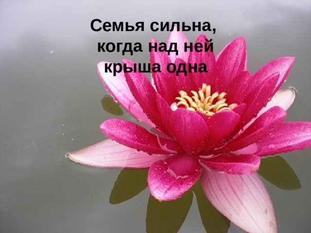 Семья сильна, когда над ней крыша одна 