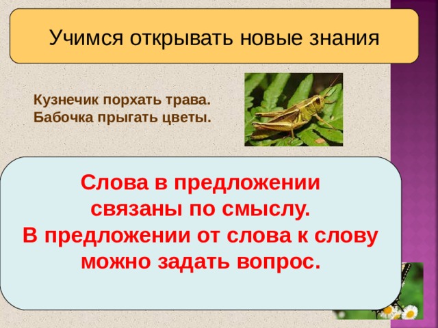 Трава предложения. Предложение со словом трава. Вопрос к слову растения. Предложение со словом цветок. Предложение из слова трава.