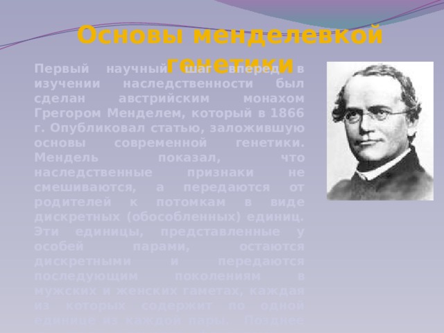 Основы менделевкой генетики Первый научный шаг вперед в изучении наследственности был сделан австрийским монахом Грегором Менделем, который в 1866 г. Опубликовал статью, заложившую основы современной генетики. Мендель показал, что наследственные признаки не смешиваются, а передаются от родителей к потомкам в виде дискретных (обособленных) единиц. Эти единицы, представленные у особей парами, остаются дискретными и передаются последующим поколениям в мужских и женских гаметах, каждая из которых содержит по одной единице из каждой пары. Позднее их стали называть факторами и, наконец, генами. Было показано, что гены находятся в хромосомах, с которыми они и передаются от одного поколения к другому. 